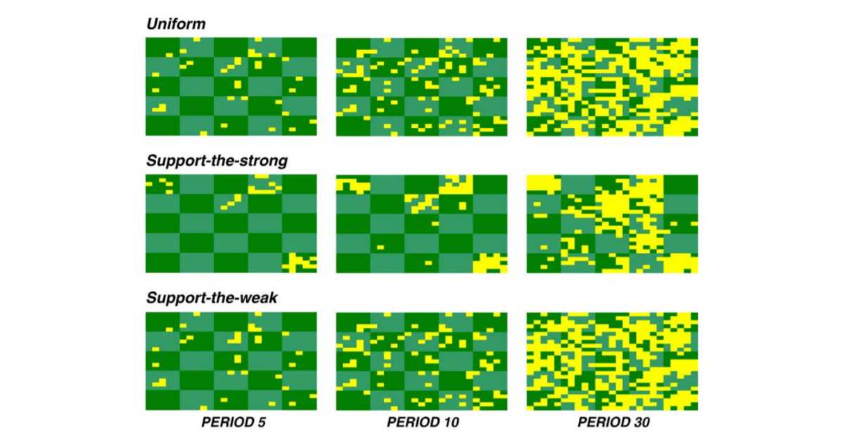 Visualisation of growth rates that occur with the three marketing strategies